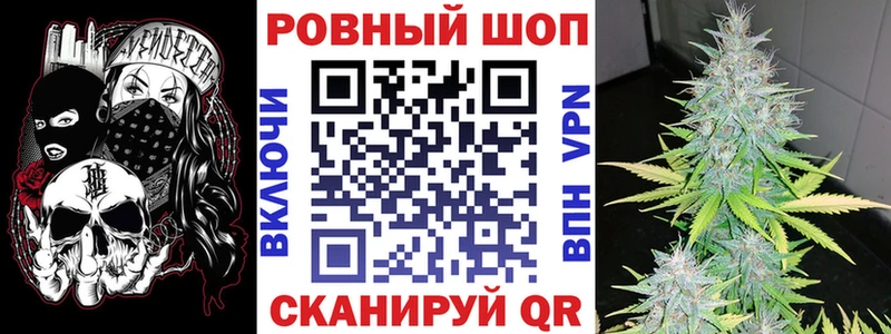Купить закладку Новозыбков ГАШИШ  mega ссылки  Кокаин  МЕФ  Конопля 