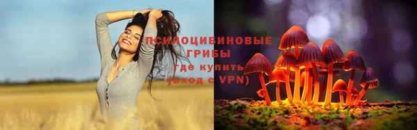 МДПВ Алексеевка