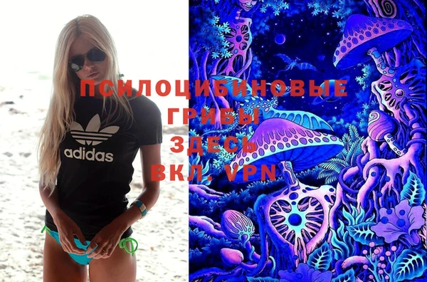 МДПВ Алексеевка