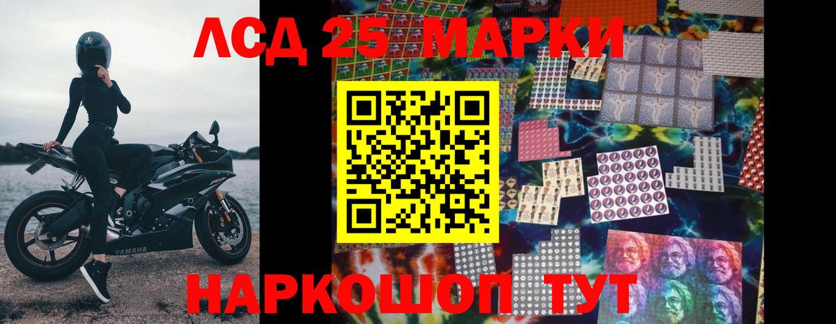 Новозыбков  LSD-25 экстази кислота  Лсд 25 экстази  Вход с VPN 