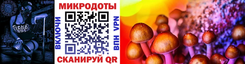 где продают наркотики  Новозыбков  Псилоцибиновые грибы GOLDEN TEACHER 