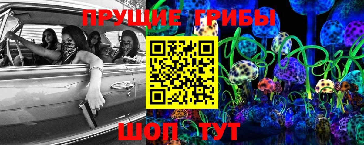 Галлюциногенные грибы GOLDEN TEACHER  Вход с VPN  купить наркоту  Новозыбков 