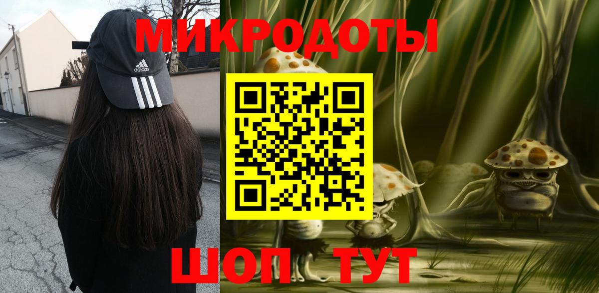 Псилоцибиновые грибы Psilocybe Новозыбков